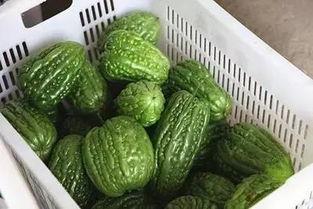 718黑料吃瓜热点曝光,吃瓜群众揭秘娱乐圈热点事件