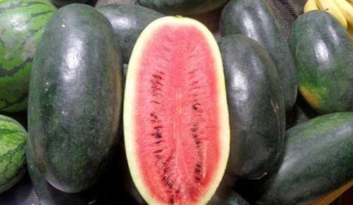 511黑瓜吃料网,美食探索者的天堂