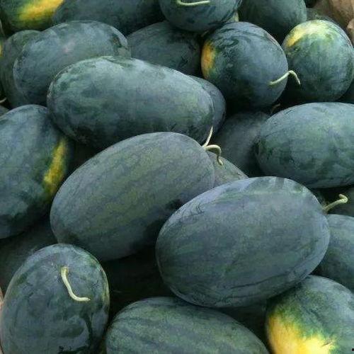 湖南公司黑料吃瓜